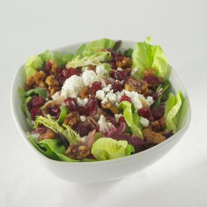 Cranberry Goat Cheese Salad GJ720888